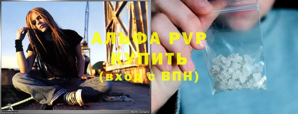 гашик Алексин