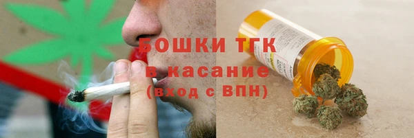 гашик Алексин