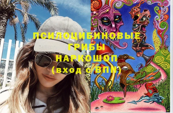 гашик Алексин