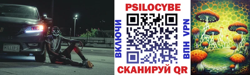 Галлюциногенные грибы Psilocybe  купить   shop Telegram  Кубинка 